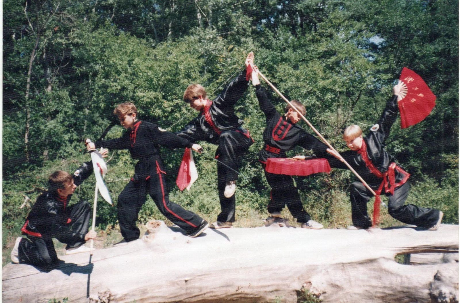 Een Wushu demonstratie van de jeugd met wapens balancerend op een boomstam